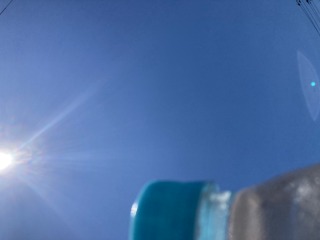 ももの花のひみつじゃないシリーズ①猛暑の訪問！の画像